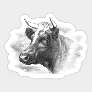 Cow Head Black & White Illustration Sticker